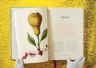 【お取り寄せ】J. C. Volkamer. The Book of Citrus Fruits